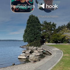 Forró Hits - Medley After 3.0 (@luckycharm Hook Remix)