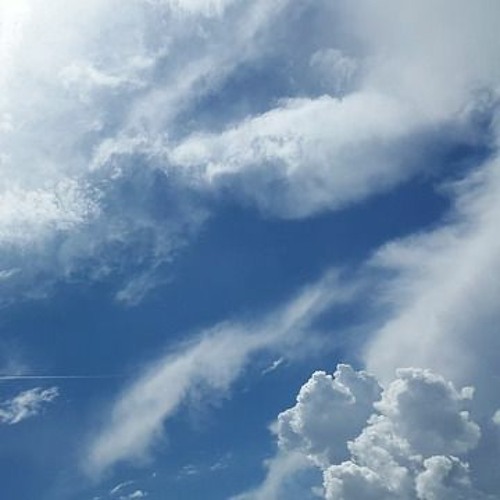 Indigo Revival - Belong To The Sky