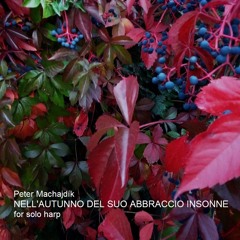 Machajdik NELL'AUTUNNO DEL SUO ABBRACCIO INSONNE for harp [2003]