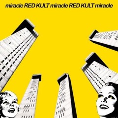 Red Kult - Miracle (Roman Salzger Remix)