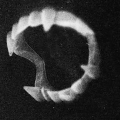 ;TARXANAX; BLAZE X ZENITH ;D$$$$$$