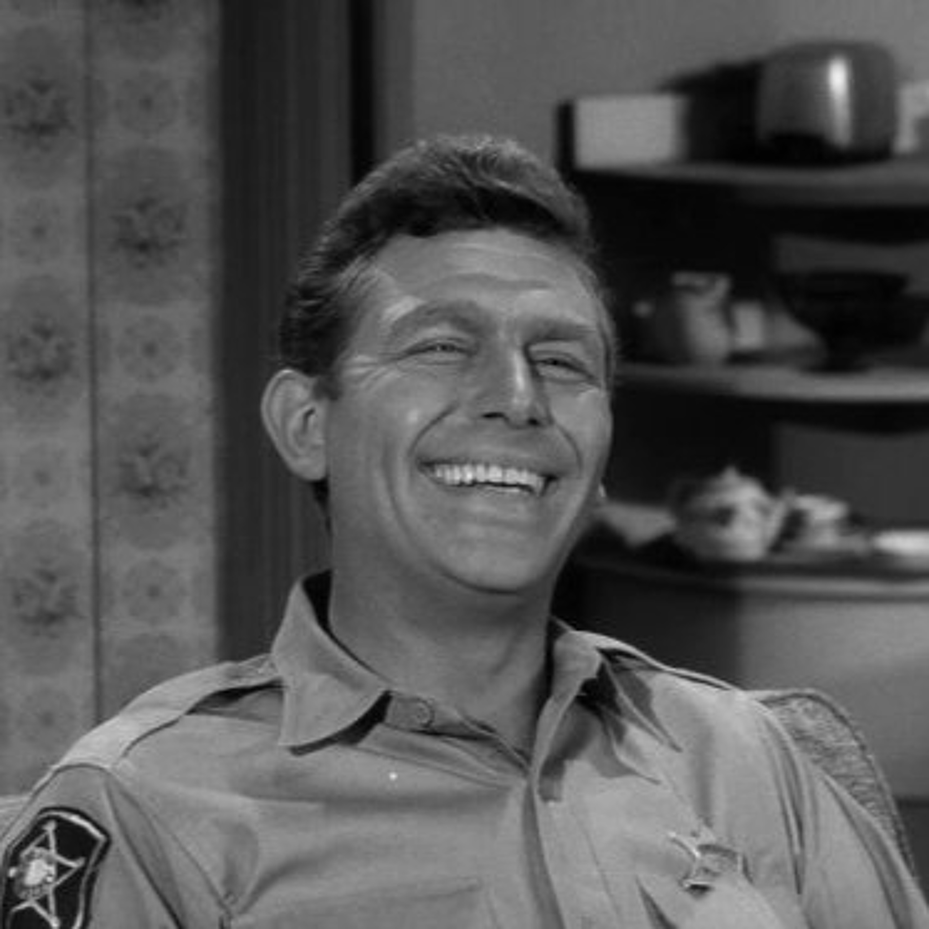 Pilot Season: The Andy Griffith Show "The New Housekeeper" (2x07) #17 episode artwork