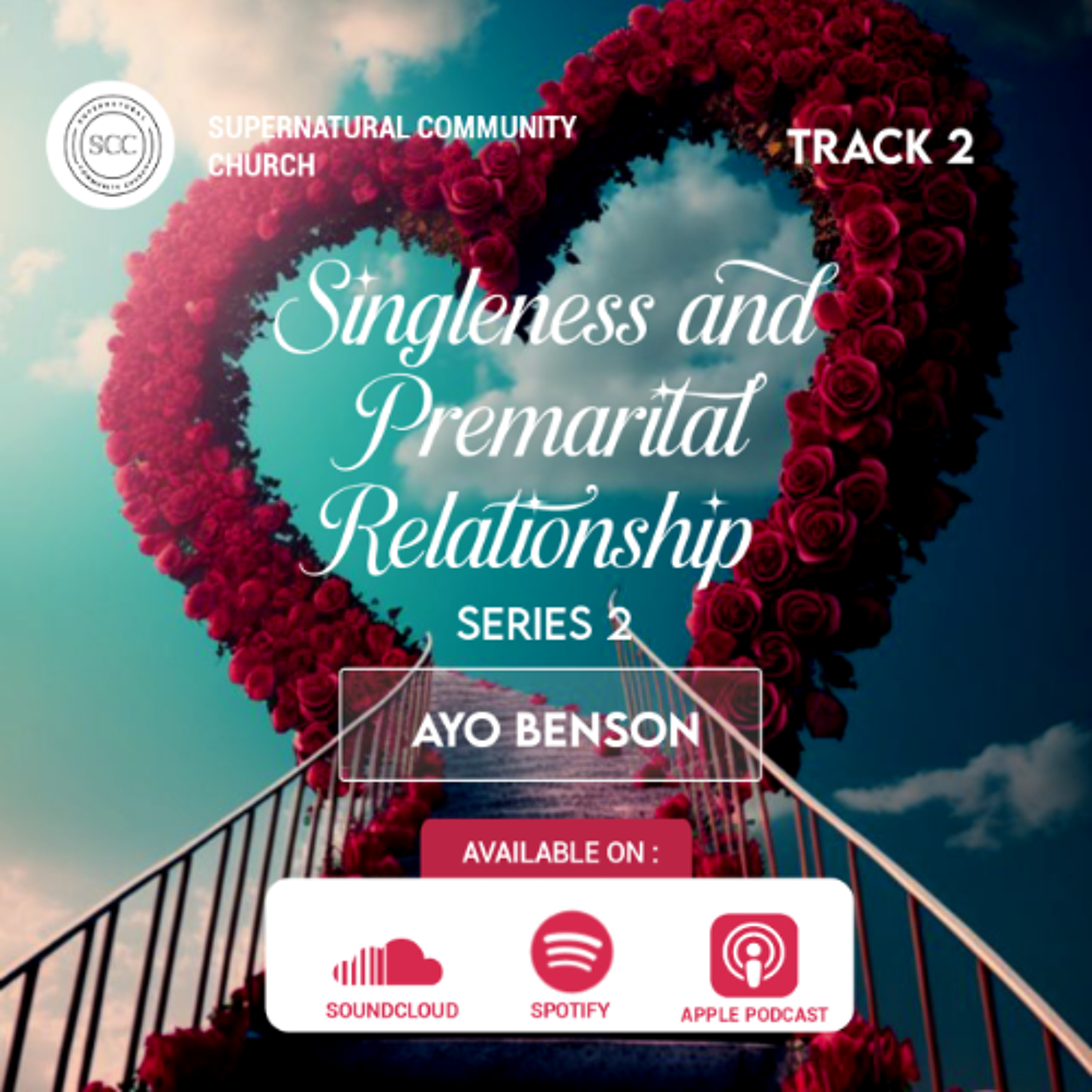 Singleness and Premarital Relationship Series 2 (2)