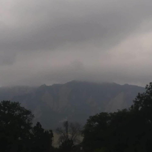 Chapter Excerpt No.9