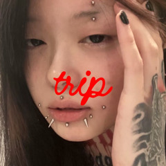 trip