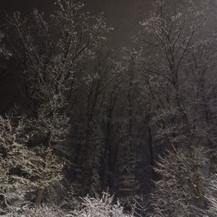 6klled - band (wockmxllow) [2024]