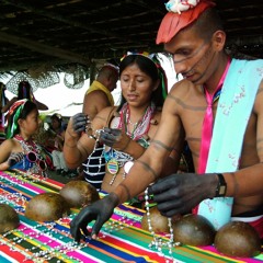 Tsáchilas: cultura, identidad y supervivencia