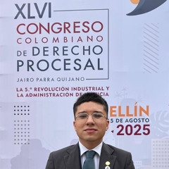 "Aplicar la subjetividad con un poco de locura", Julián Torres, estudiante de Derecho