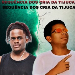 SEQUENCIA DOS CRIA DA TIJUCA [[DJ ADRIANO DA FORMIGA & DJ 2K DO ANDARAI ]]