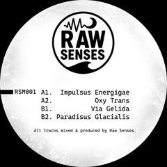 Premiere: 1 - Raw Senses - Impulsus Energigae [RSM001]