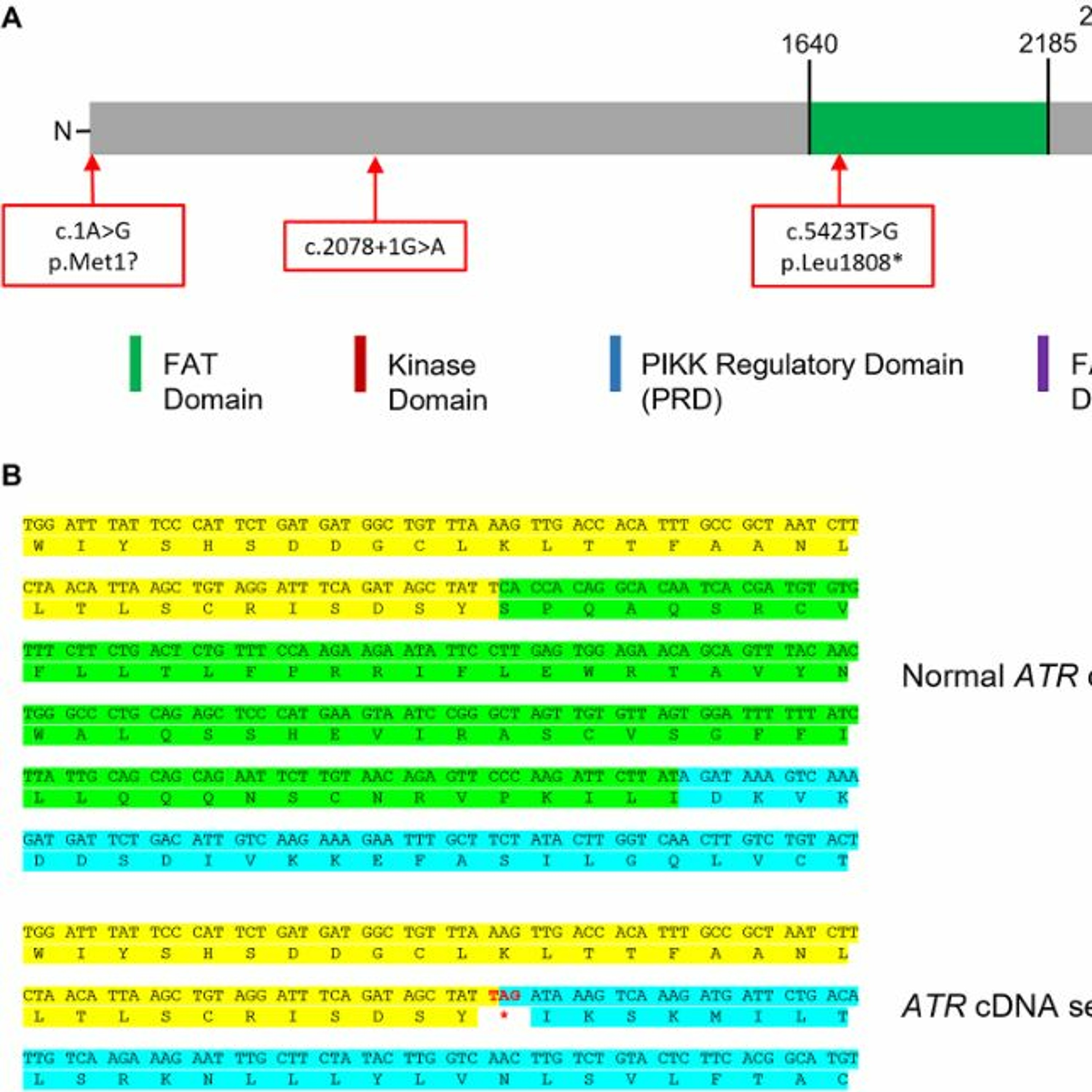 Oncotarget