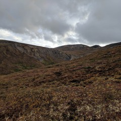 Unconformity (Applefish Rework)