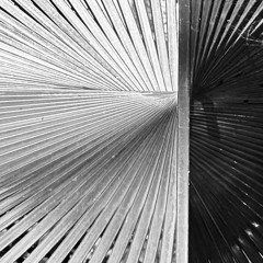 DRIFTING /modular soundscape/ - MOATRAX