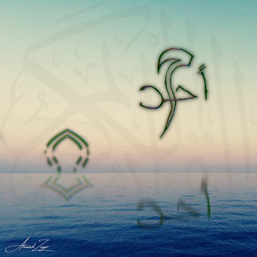Habibi ft. Ali Zahir, M.I.Haqq, Imtiyaaz Qadri