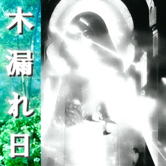 木漏れ日