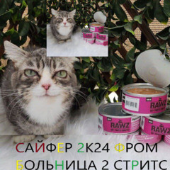 САЙФЕР 2К24 ФРОМ БОЛЬНИЦА 2 СТРИТС +ща не интересно