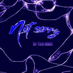Not Sorry Slowed