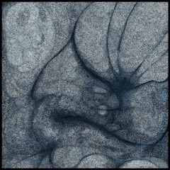 hk_fantaisies_tracks_456