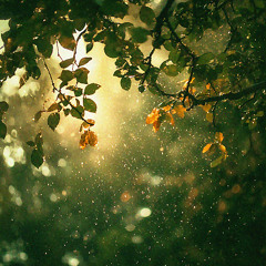 Rain 1: And the rain begins