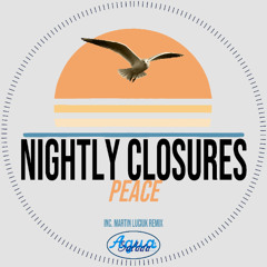 PREMIERE: Nightly Closures - Peace  [Agua Salada Records]