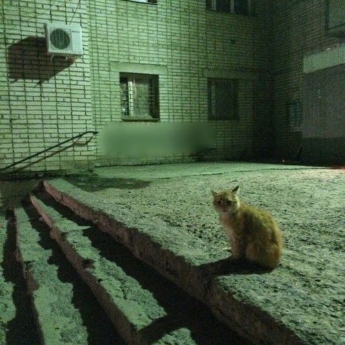 sedtrash + flarda mnu