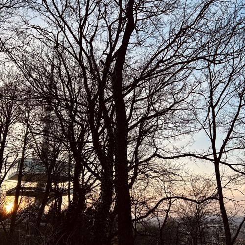 313 - Minimal Sesh 002