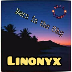 Born in the Sky.mp3