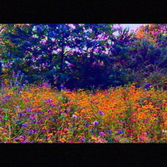 Everything Made Sense (Briefly)