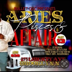 BULLETT QSC ARIES PISCES AFFAIR PT 13.mp3