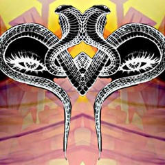 Cobra Pit (Prod. Net User)