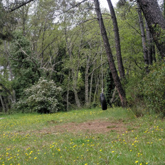 compo20220102 (Escondite)