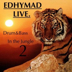 Edhymad Live - Drum&Bass In The Jungle 2 - 161022