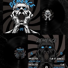 TLB and EEBOO - Pacontent (2011)