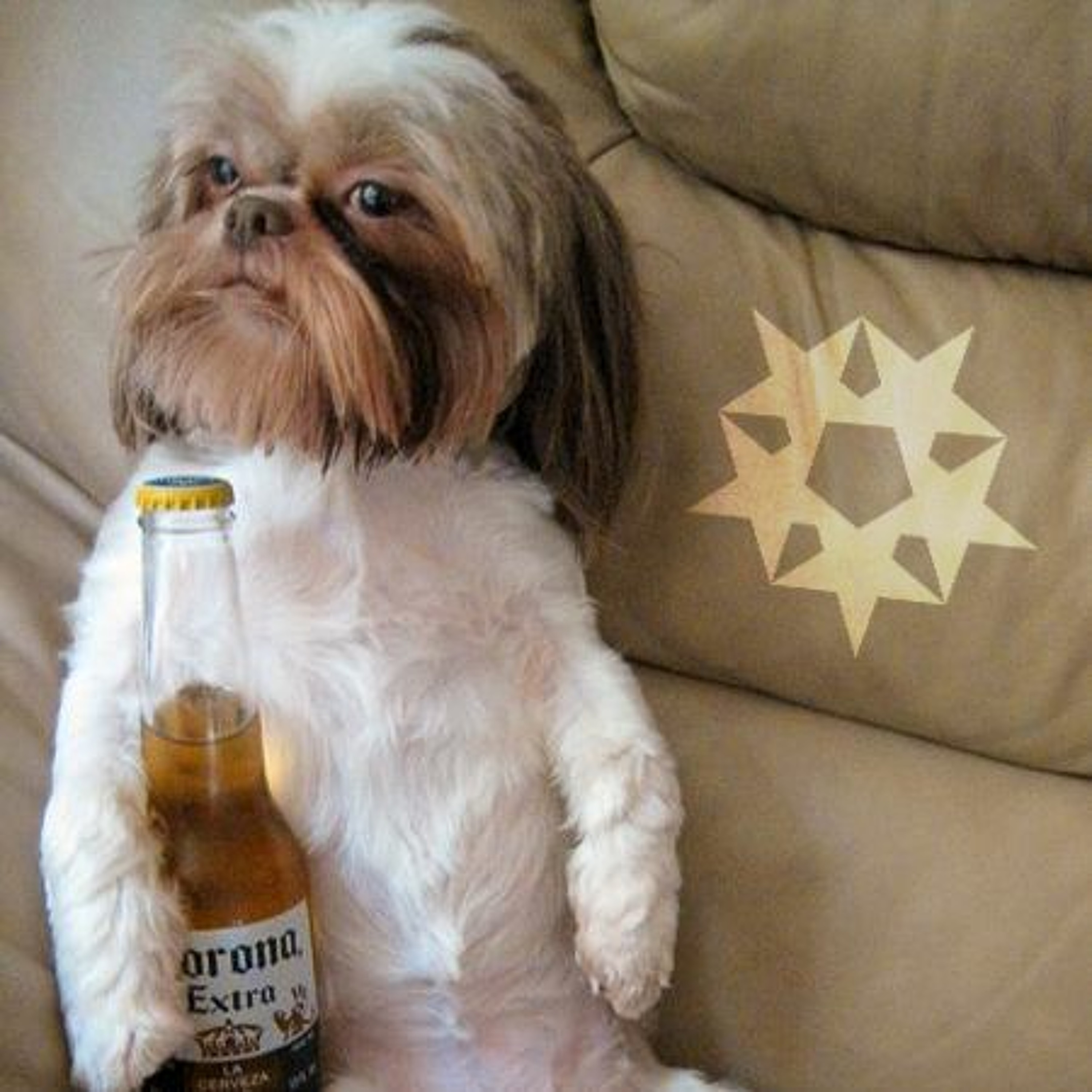 What Beta\'s Rockin