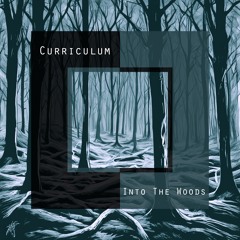 Curriculum - Into The Woods