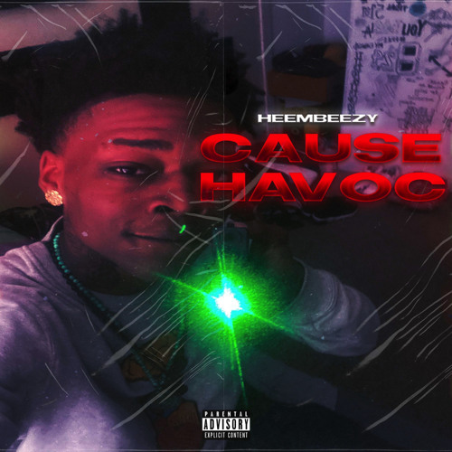 Cause Havoc - heembeezy