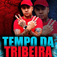TEMPO DA TRIBEIRA - MC Novinho [ Novinho No Beat ] Funk Consciente