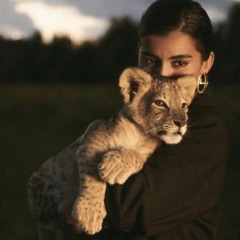 هاني لمنفي  2024  🍒 لا تنحنا راسي mp3