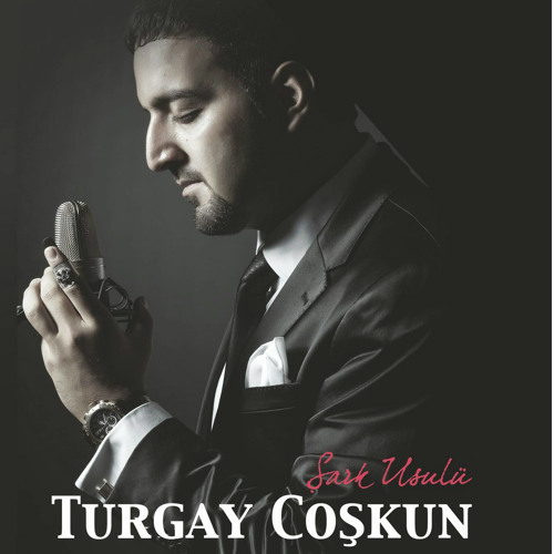 Stream Pınarın Başından Ufak Taş Gelir by Turgay Coşkun | Listen online for  free on SoundCloud