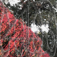 Metamorphosen 43 | Pendiesel & Rinsal