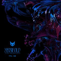 Convexity - Manifold (NetroAki Remix)