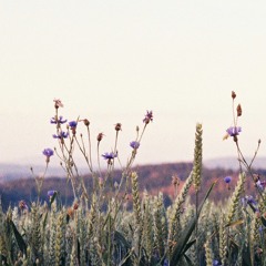 Starting Again (Day Wave) - Remix