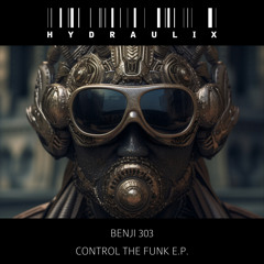 Control The Funk (D.A.V.E. The Drummer Remix)