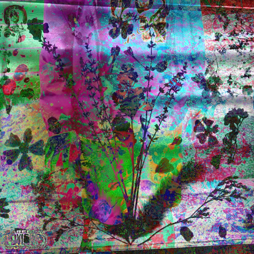 BDSM with .Wav files (Ft. DJKillaC)