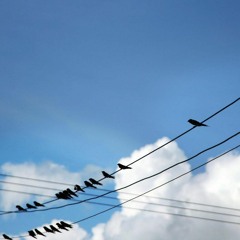 Fly Away