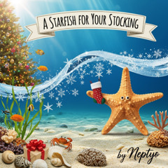 A Starfish for Your Stocking
