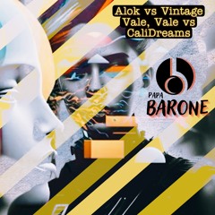 Alok vs Vintage Culture - Vale Vale Cali Dreams (Papa Barone remix)