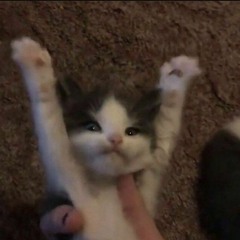 treehouse-alex g (speed up)