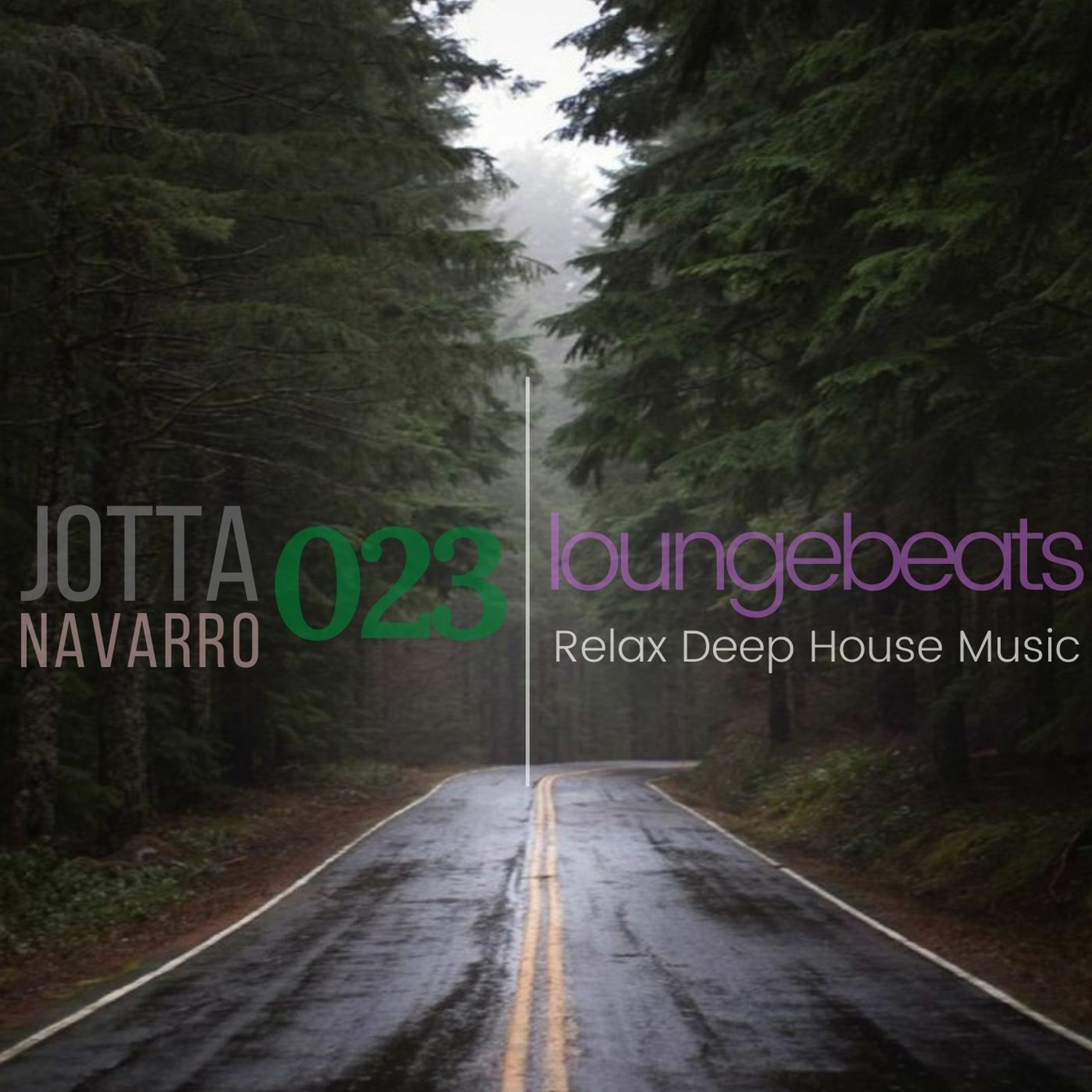 Portada de JOTA NAVARRO