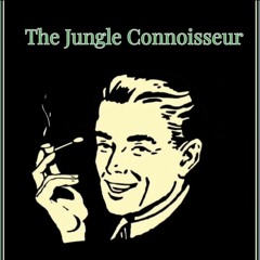 The Jungle Connoisseur - 95 Jungle(Vinyl) Mix
